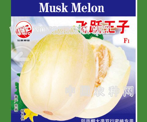 飞跃王子